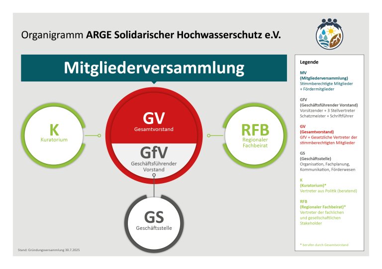 Organigramm des Vereins
